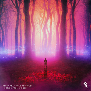 林秀芳火车卧铺最新更新内容介绍
