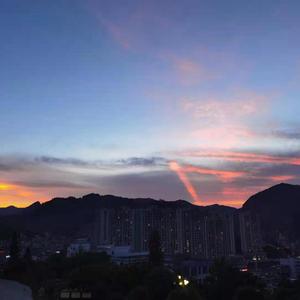 林秀芳火车卧铺最新更新内容介绍
